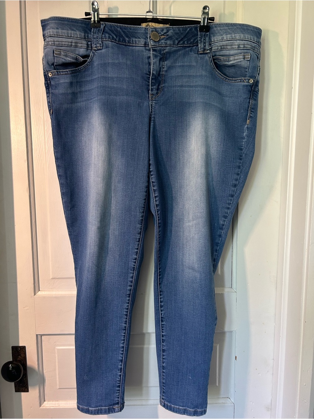 Democracy Women's Skinny Jeans in Faded Blue